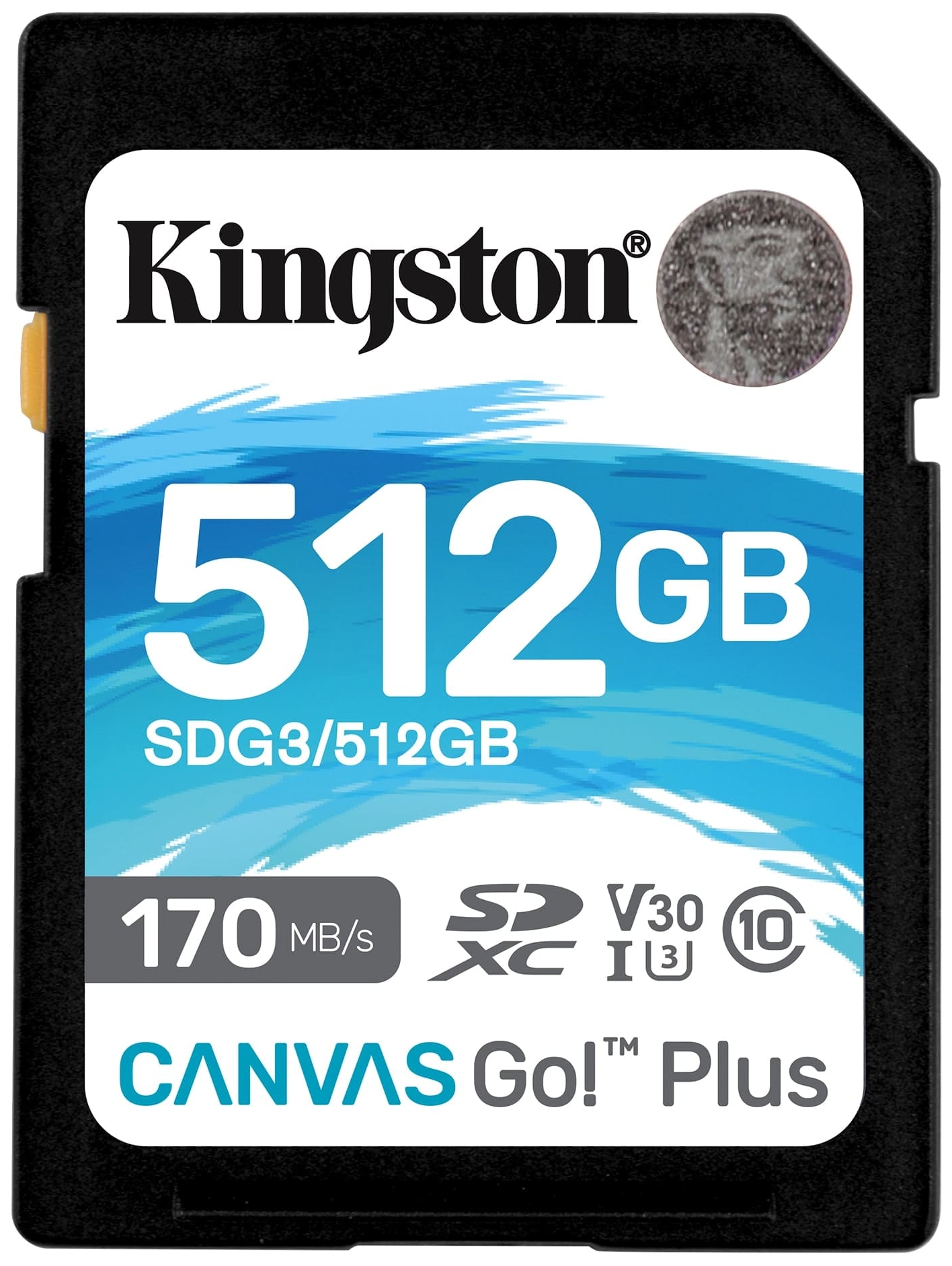 Карта памяти kingston canvas go plus